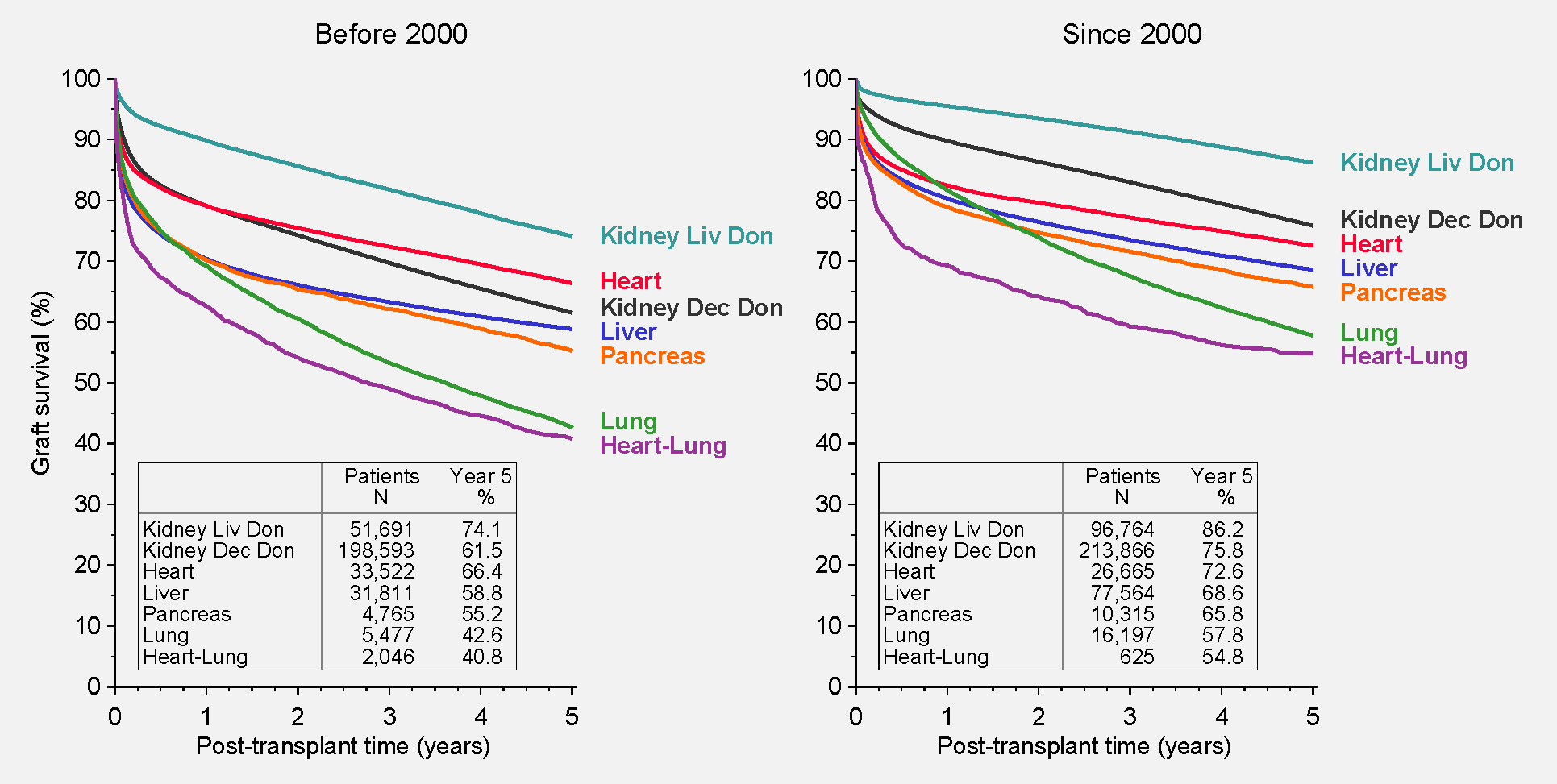 Graph: comparison of graft survival rates in two transplant periods